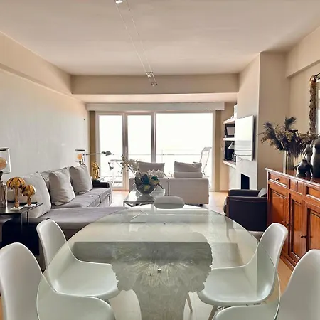 Apartment Vue Mer, Famille, Teletravail, Chiens Admis & Garage Knokke-Heist